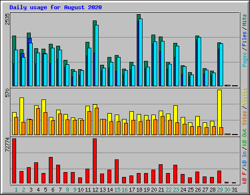 Daily usage for August 2020